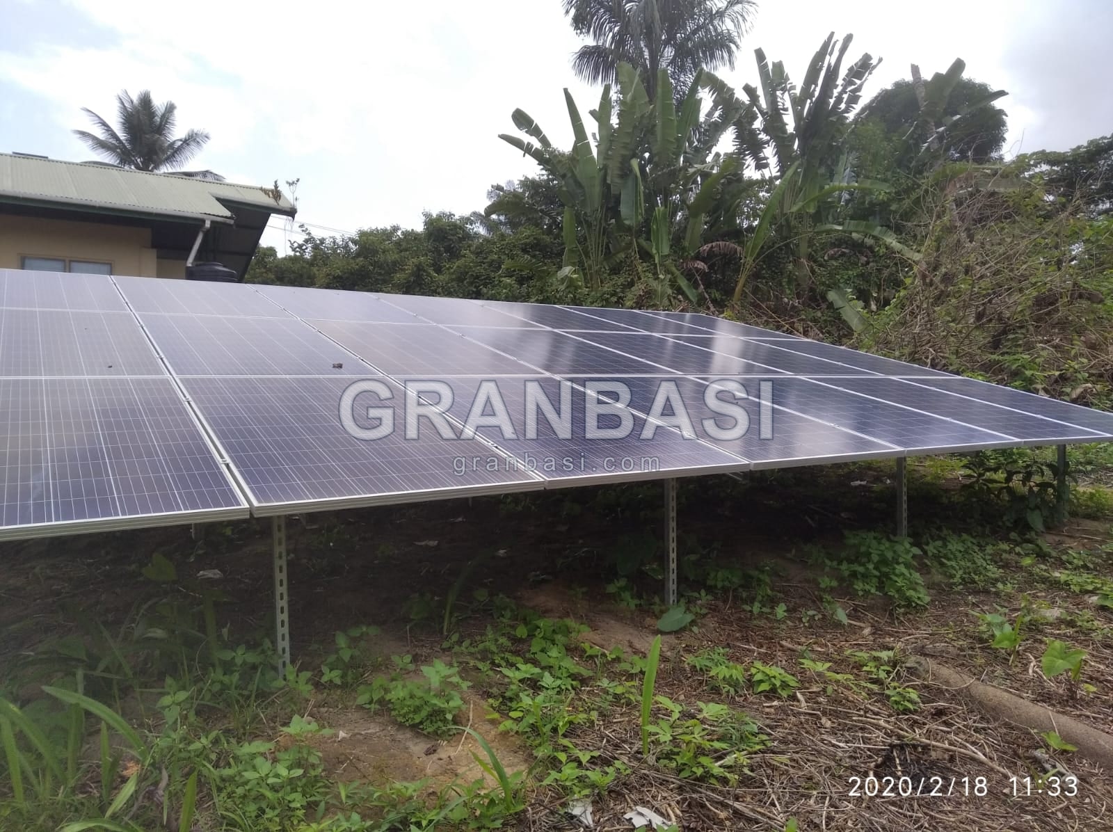 Off-grid field behind the house